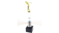 Trofeo de Golf Personalizado de Alta Calidad, Grabado, Ecológico, de Metal y Cristal, 12.5 Pulgadas, Dorado, para Competiciones de Golf y Celebraciones de Hitos
