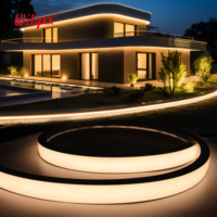 Bande LED néon en silicone grande taille 40x25mm IP65 double rangée optimisée pour la distance, PCB en cuivre 3oz ignifuge B2 5Y
