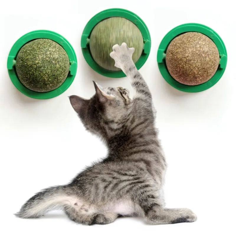 Produk hewan peliharaan Logo kustom mainan kucing Catnip bola Lollipop relaksasi kucing Catnip mainan