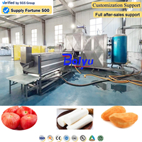 Baiyu commerciële appel-stoomschilmachines voor sap- en jamproductie fabriek met aangepaste capaciteit