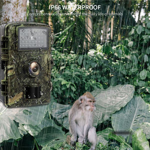 Faune 940nm <span class=keywords><strong>invisible</strong></span> Vision nocturne 12MP 1080P <span class=keywords><strong>chasse</strong></span> aux animaux sauvages Caméra sauvage - Product Image 6