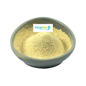 Complément alimentaire FocusHerb Menatetrenone 4 Poudre K2 MK-4 1% Vitamine K2 MK-4 - Product Image 1