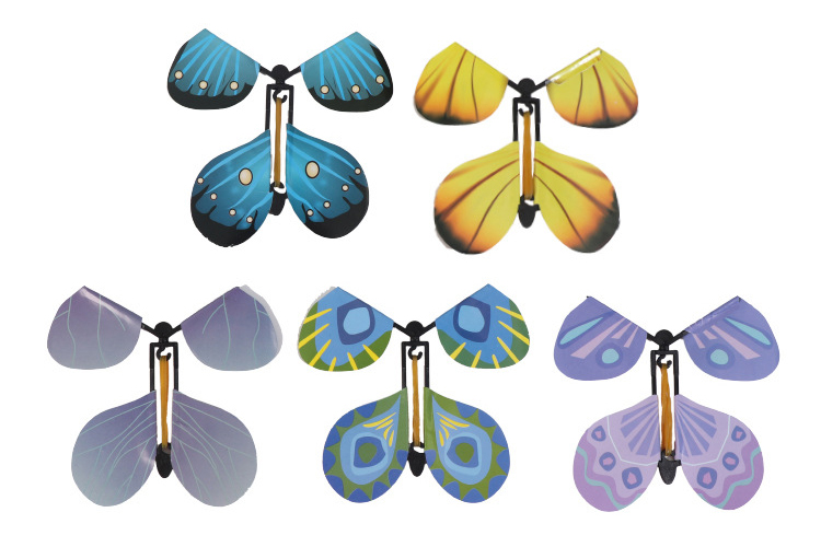 flying butterfly