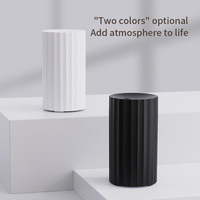 Nouvel humidificateur d'air ultrasonique portable 100 ml avec diffuseur d'arômes et lampe de nuit chaleureuse effet flamme, en PP+ABS