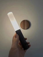 Vente chaude Intelligent LED Veilleuse Lumière Ambiante Capteur Passage Charge En Plein Air D'urgence Caractéristiques ABS Corps Batterie Puissance