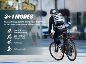 <span class=keywords><strong>2025</strong></span> EU Kho Rts Trung Quốc Bán Sỉ Điện Thành Phố Xe Đạp Điện Tử Step-Thru Phụ Nữ Ebike Nhà Máy Trực Tiếp Tốt Nhất E-Xe Đạp - Product Image 2