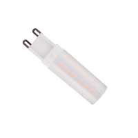 Mini lampe à flamme 120V 220V 2W G9 a mené l'ampoule