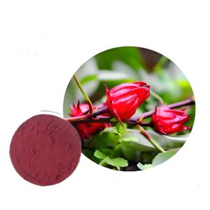 Suda çözünür gıda sınıfı Roselle özü dondurularak kurutulmuş sprey kurutulmuş ebegümeci <span class=keywords><strong>Sabdariffa</strong></span> meyve tozu C vitamini zengin vakum paketlenmiş - Product Image 6