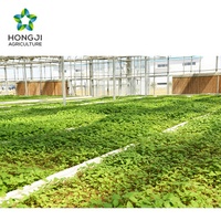 Flocons et poudre de pommes de terre instantanées : Marque Hongji, emballage personnalisable OEM pour l'industrie alimentaire, directement de l'usine