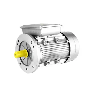 YL 0.37Kw-2.2KW 1400/2800RMP 220V 60HZ YL Series Aluminium Shell Single Phase Asynchronous Motor