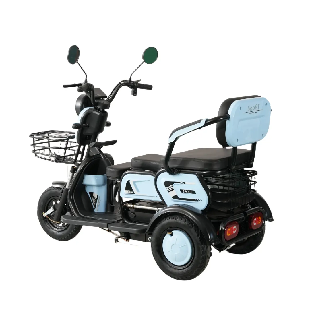 Hete Verkoop Goedkope Groothandel Bulk Elektrische Driewieler Voor Passagier 1000W 1200W Zware Belasting Gesloten Type Trike Met Lage Prijs