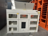 Armoire de ramassage alimentaire intelligente double face en promotion, casier électronique avec système anglais personnalisable