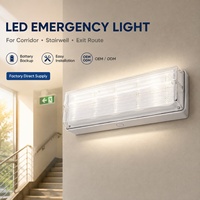 Luz de Emergencia LED Recargable de Alta Densidad 2835 SMD, Resistente al Agua IP65, con Tres Horas de Autonomía, Personalizable OEM, para Almacenes Industriales