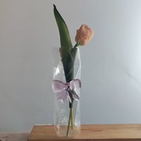 Vase à fleurs hydroponique en verre clair de conception irrégulière créative Offre Spéciale avec nœud papillon rose décor à la maison Style Art déco