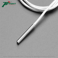 Sensor Suhu Industri Transduser Genggam PT100 PT1000 Kelas A/B RTD 5x50mm