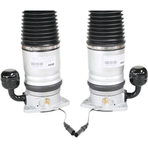 Ensemble d'amortisseurs pour Bentley Continental Flight Branch 3W7616001A 3W7616002A Arrière gauche/droite - Product Image 5