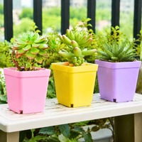 Macetas Cuadradas de 10 cm para Plántulas, Vasos de Plástico para Semilleros, Contenedores para Plantas y Flores, Macetas para Cultivo en Jardín