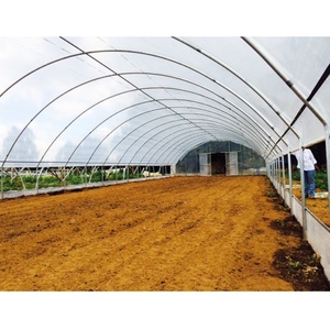 Cao Đường Hầm <span class=keywords><strong>Gothic</strong></span> Nhà Kính Cao Cấp Nhựa Nông Nghiệp Đường Hầm Cho Hiệu Quả Crop Trồng - Product Image 6