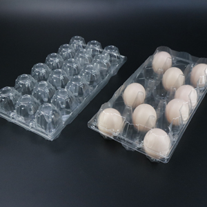Customized Pet plastic egg tray plastic quail egg tray