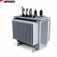 Transformateur immergé dans l'huile à tension personnalisée Wanbo-527, radiateur tubulaire à faible perte, transformateur à huile à enroulement en cuivre, fournisseur OEM
