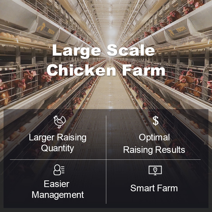 Matériel agricole Conception Couche De Poulet Cages D'oiseaux Poules Pondeuses