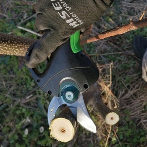 Sécateur électrique/Outil <span class=keywords><strong>de</strong></span> <span class=keywords><strong>jardinage</strong></span> professionnel pour vignoble et tout type <span class=keywords><strong>de</strong></span> vergers - Product Image 1