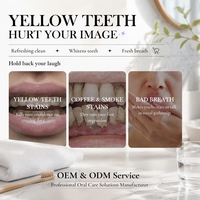 Dentifrice blanchissant OEM/ODM 2,5 % de niacinamide sans fluorure, élimination des taches profondes, haleine fraîche, soin buccal quotidien, lot de 2