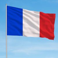 Drapeau de France Hannuo en polyester 90x150cm, couleurs inaltérables, idéal pour événements nationaux et rassemblements sportifs