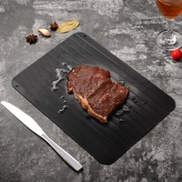 Plaque de décongélation rapide pour la cuisine et la maison, en alliage d'aluminium, pour décongeler rapidement les steaks, les aliments congelés et la viande