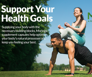 最高級オーガニックモリンガ葉粉末カプセルOEMプライベートラベルモリンガカプセル卸売販売用用量 - Product Image 5