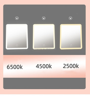 Organisateur de maquillage de voyage portable avec miroir LED détachable, boîte de rangement pour cosmétiques de bureau