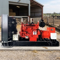 Direktvertrieb 300KW Biogas-Energiegenerator Hocheffiziente Abfall-zu-Energie-Stromerzeugungsanlage für Landwirtschaft, Fabrik und Industrielle Notstromversorgung