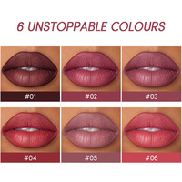 Coffret de luxe doré : Rouge à lèvres mat et crayon à lèvres, longue tenue, waterproof, hydratant, correcteur, couleur nude