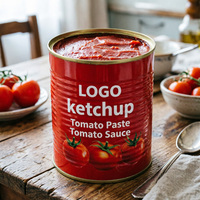 Sauce tomate en conserve 850g, sauce commerciale pour hot-dogs, frites, pizzas, pâtes, ketchup tomate, vente en gros