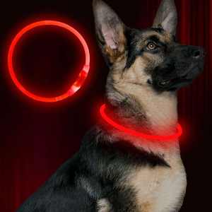 Correa de PVC para mascotas de alta calidad, recargable, <span class=keywords><strong>LED</strong></span>, impermeable, 3 modos de Flash, collares para mascotas iluminados para perros y gatos - Product Image 2