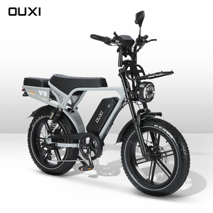 Bicicleta Híbrida C80 de 250W 48V con Llantas Gruesas de 20 Pulgadas, Bicicleta Eléctrica Moderna con Batería de Litio, Fatbike V20 - Product Image 1