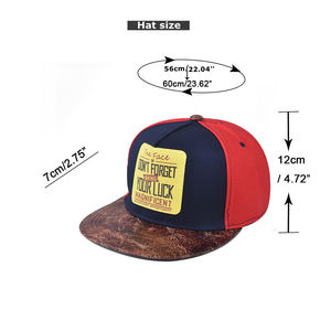 Gorra Deportiva Hip Hop de 6 Paneles, Lona de Poliéster con Patrón Bordado, Estilo Deportivo, Ajustada, Juvenil, para Fiestas al Aire Libre, Cuatro Estaciones, Visera Plana - Product Image 6