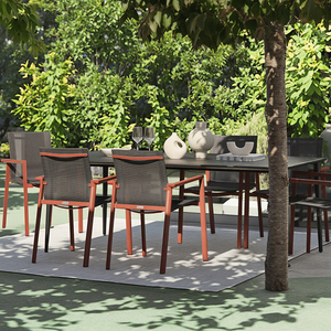 Delia + Bigby moderno Set da pranzo all'aperto durevole telaio in alluminio giardino mobili da giardino per alberghi e uso domestico - Product Image 4
