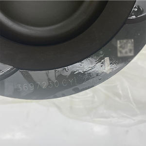 Echte 3697230 Motorzuiger Voor Cummins F Serie Dieselmotor Onderdeel - Product Image 6