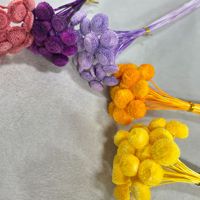 Fleurs de boutons teintées et préservées, violettes et colorées, fleurs de boutons séchées pour la décoration de bouquets de mariage