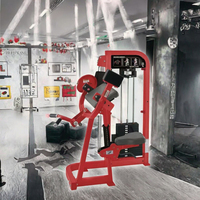 Équipement de musculation pour usage commercial, machine d'entraînement en acier réglable pour les biceps, les bras, les jambes, le dos, entraînement physique