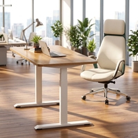 Bureau assis-debout moderne de luxe, automatique, à double moteur, réglable en 3 positions, ergonomique, en acier durable, pour la maison, la chambre ou le bureau