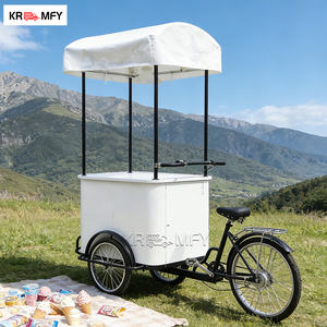 Tricycle à moteur pour restauration rapide à vendre, vélo portable avec congélateur, chariot de vente de glaces - Product Image 6