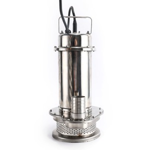 Bomba de Agua Sumergible de Acero Inoxidable 304 de Alta Presión, 220V, para Uso Doméstico y Agrícola - Product Image 1