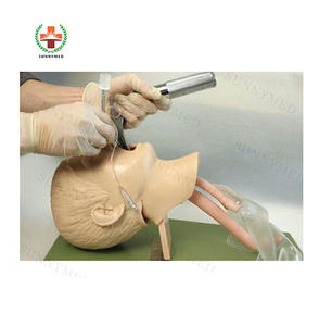 Mannequin de RCR d'entraînement demi-corps simple SY-N034 pour la pratique médicale modèle médical de la série - Product Image 5