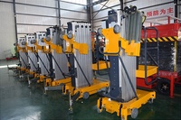 Plateforme élévatrice verticale monomât en aluminium certifiée CE, capacité 200 kg, pour travail en hauteur, 6M 8M 9M 10M 12M