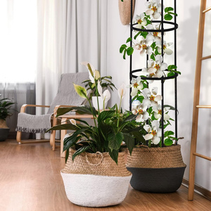 Treillis de jardin pour plantes grimpantes, treillis rond pour rosiers en pot, pour l'intérieur - Product Image 5