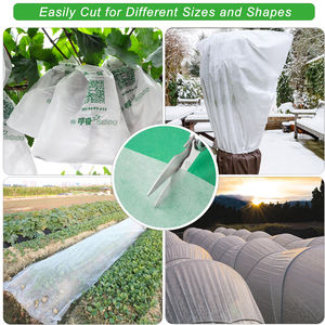 <span class=keywords><strong>Manta</strong></span> térmica blanca para invernadero de 20, 25 y 30 GSM para invierno, frutas agrícolas, verduras, árboles frutales, plántulas de flores que crecen - Product Image 4