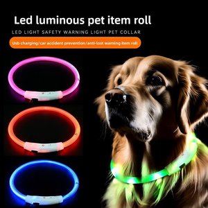 <span class=keywords><strong>Collar</strong></span> de perro gato con luz LED intermitente recargable por USB, cinta de Material de fibra óptica de calidad de estilo lujoso, plástico sólido - Product Image 2