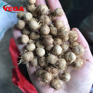 Máquina para hacer carbón de cáscara de coco, fabricación de carbón de madera de Palma, horno carbonizado - Product Image 4